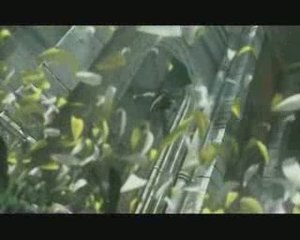 Amv final fantasy true self