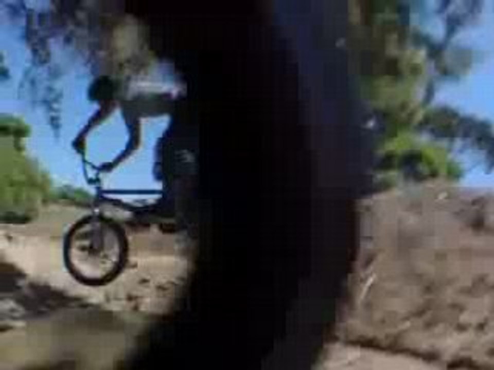 freestyle bmx
