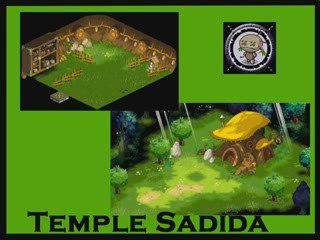 Musique Dofus ost - Temple Sadida