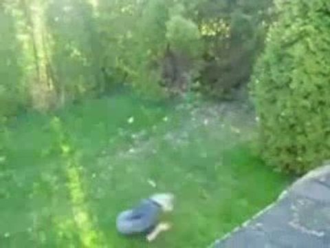 Jumpper 2008 with the song linkin park one step closer