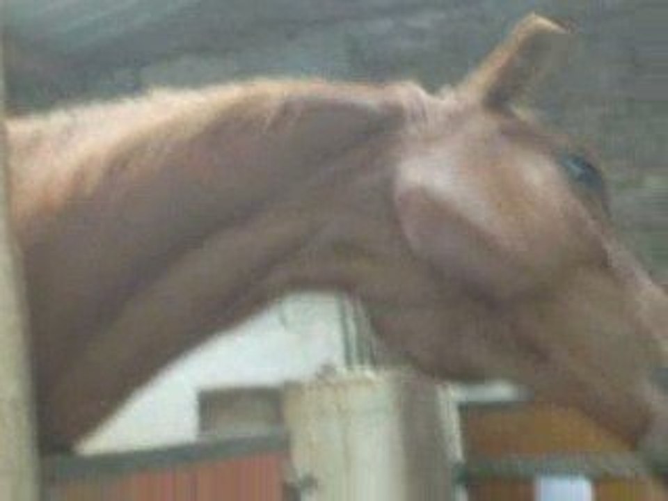 P'tit délire avec Lorenzo =)