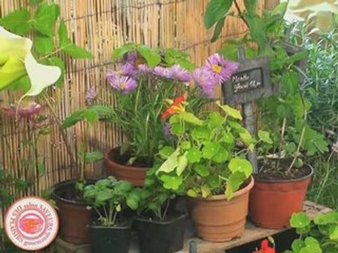 Des produits haut de gamme au Salon des Saveurs 2009