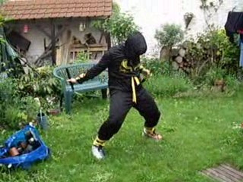 Have you ever been a Ninja