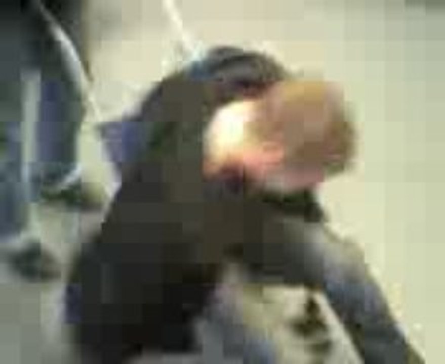 Lycée agricole de Château-Salins