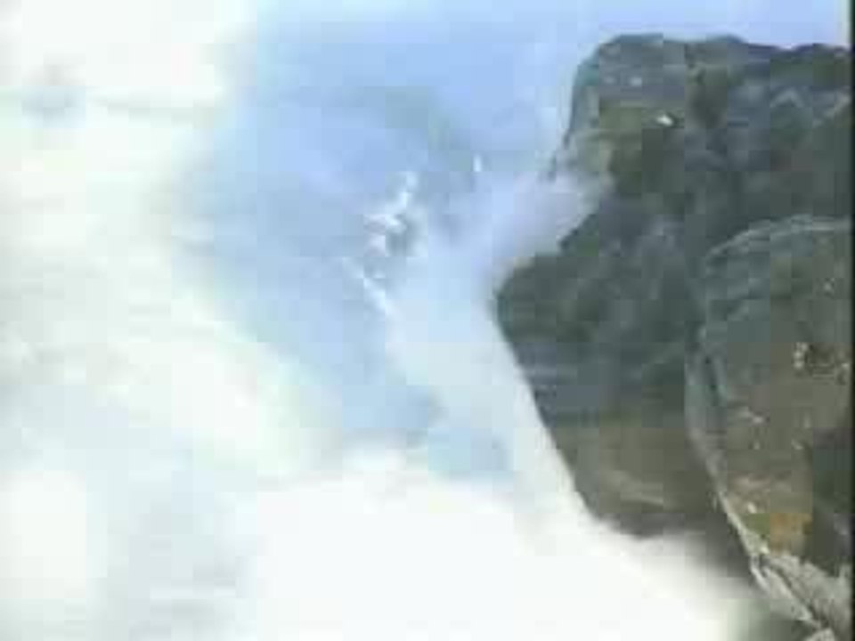 Surfing Shark Attack