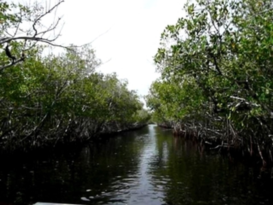 EVERGLADES CITY AIR BOAT HYDROGLISSEUR FORIDE USA