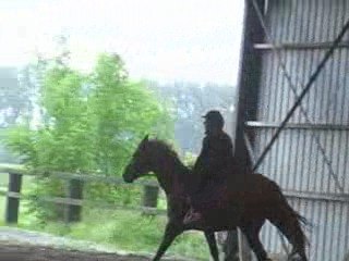 Kika la voila galop 3