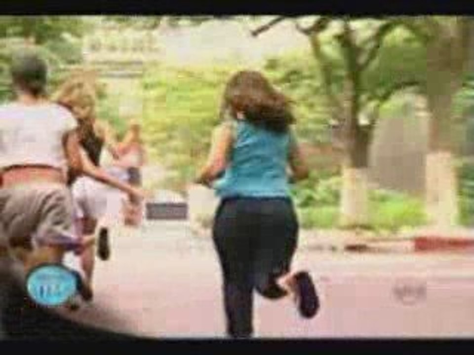 Macaco no parque