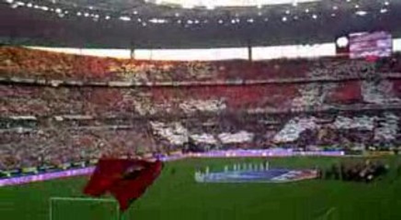 Coupe de France .Finale mai 2009.RENNES-GUINGAMP (3)