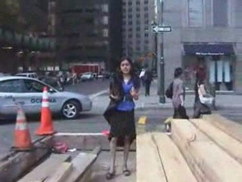 Jacket - Zig Zag Wanderer