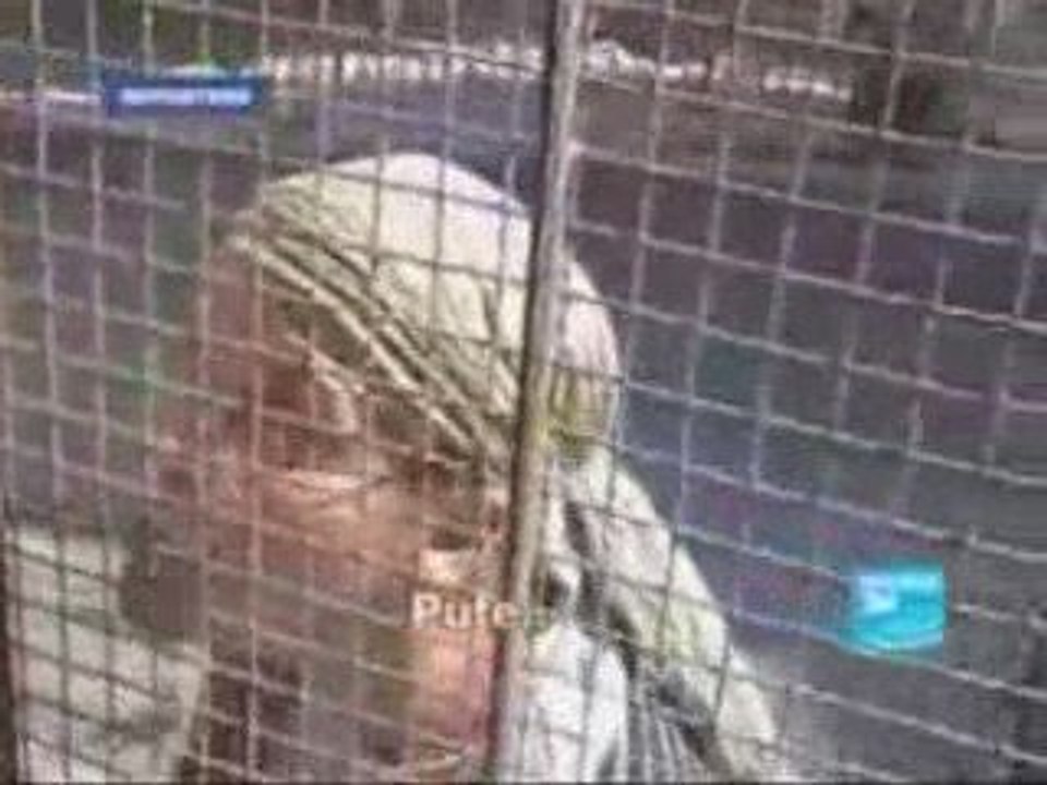 Sionisme, idéologie raciste.