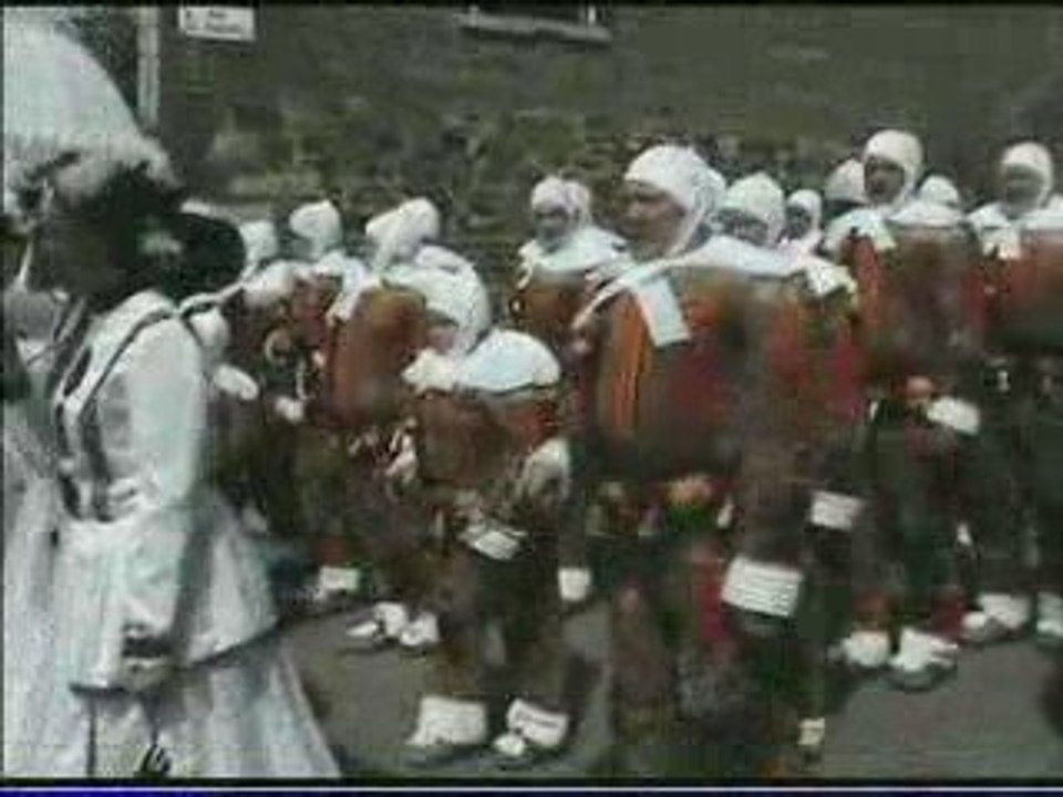 carnaval de villers sire nicole