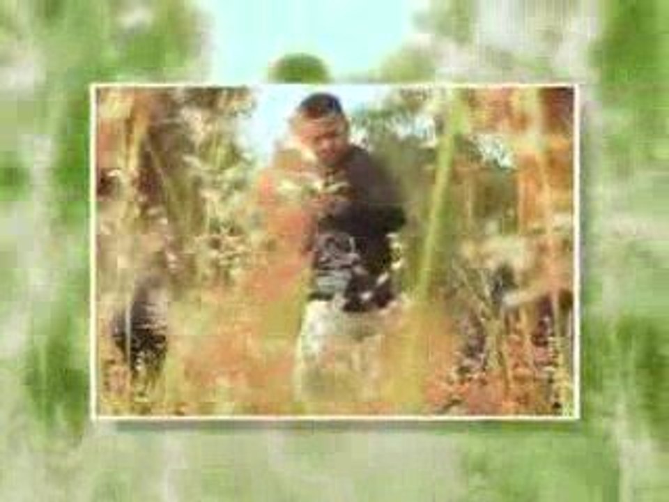 le petit jaovaka