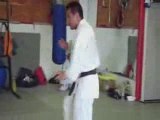 Ashihara Karate Wien Sabaki