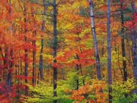 РЕСПЕКТ-ЩЕ БЪДА ТАМ~1