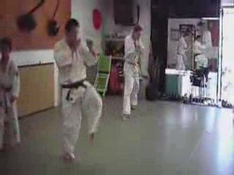 Ashihara Karate Wien Sabaki Viyana Avusturya