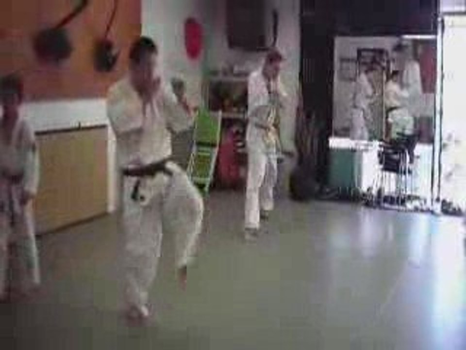 Ashihara Karate Wien Sabaki Viyana Avusturya