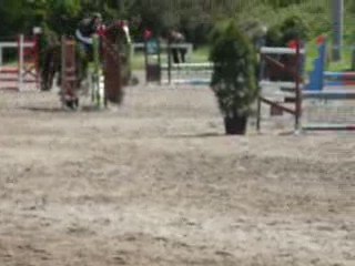 hona et moi à brest