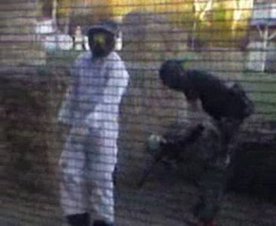 et voila une touche dehors