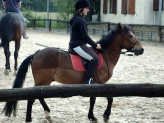Kami et Moi En Dressage