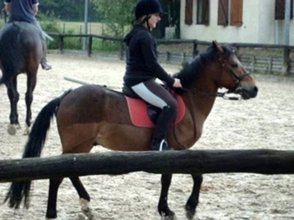 Kami et Moi En Dressage