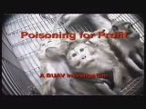 Atrocités envers des primates dans un laboratoire de Covance