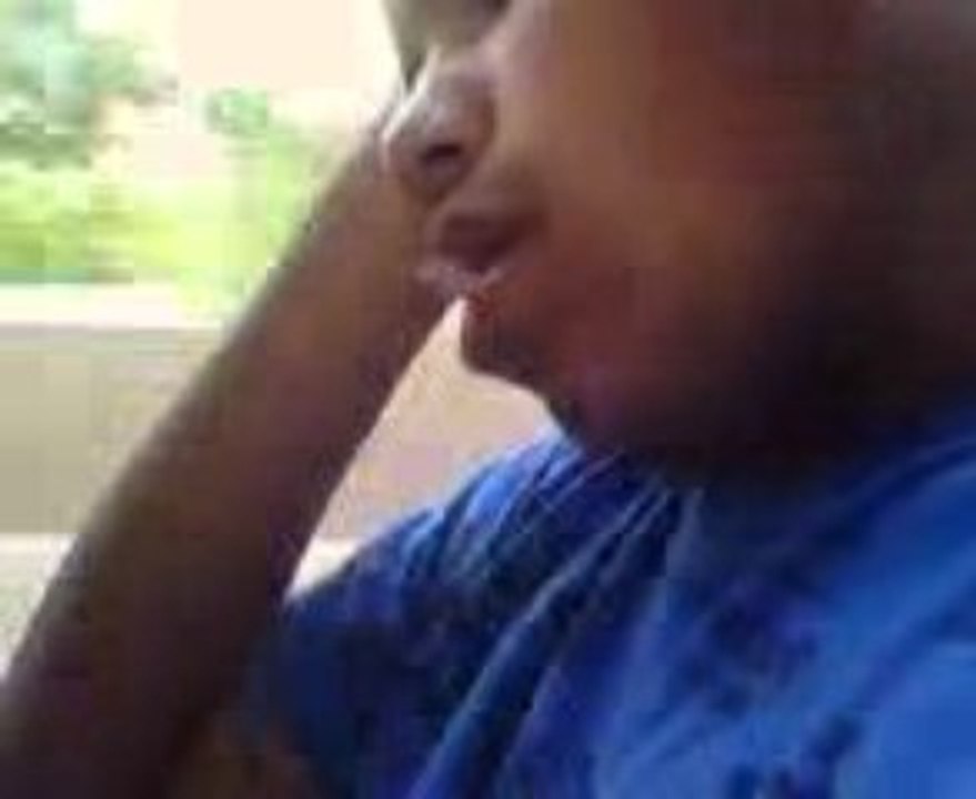 beaver fai dodo