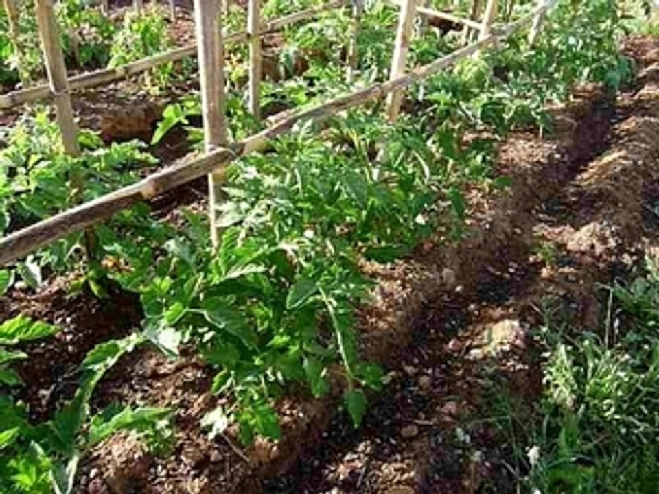 Tour du jardin