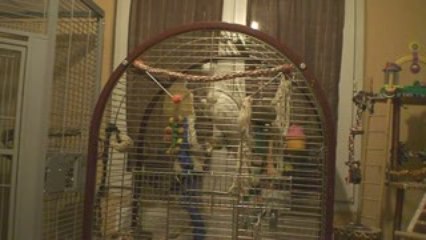 Aloha ne veut pas faire dodo le soir mai 2009