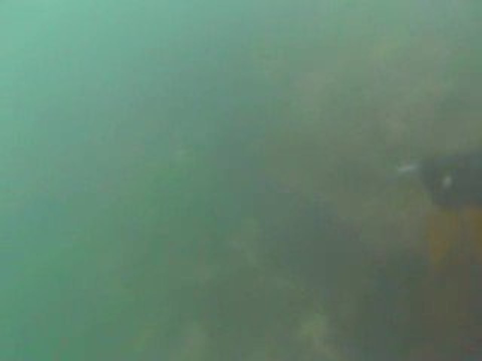 CHASSE SOUS MARINE