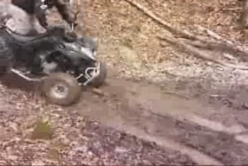 Trou d obus bien gras