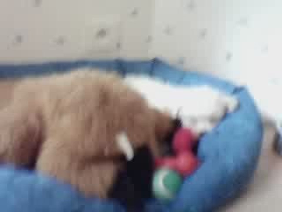 Eva en train de dormir