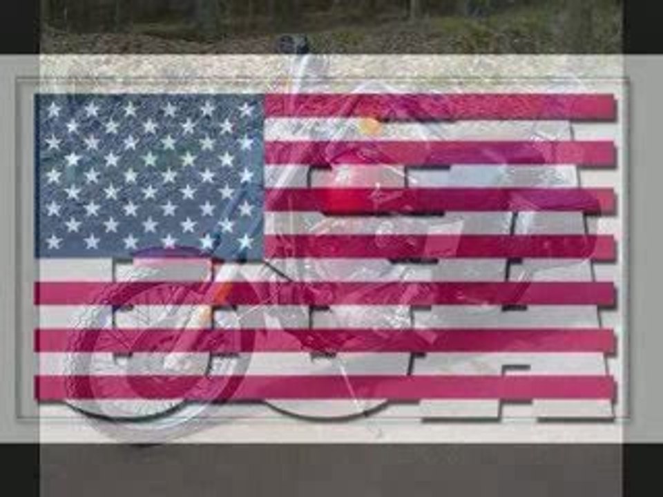 Harley Davidson Fatbikes 2009