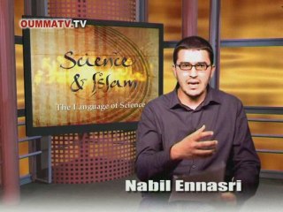 Les sciences du Coran