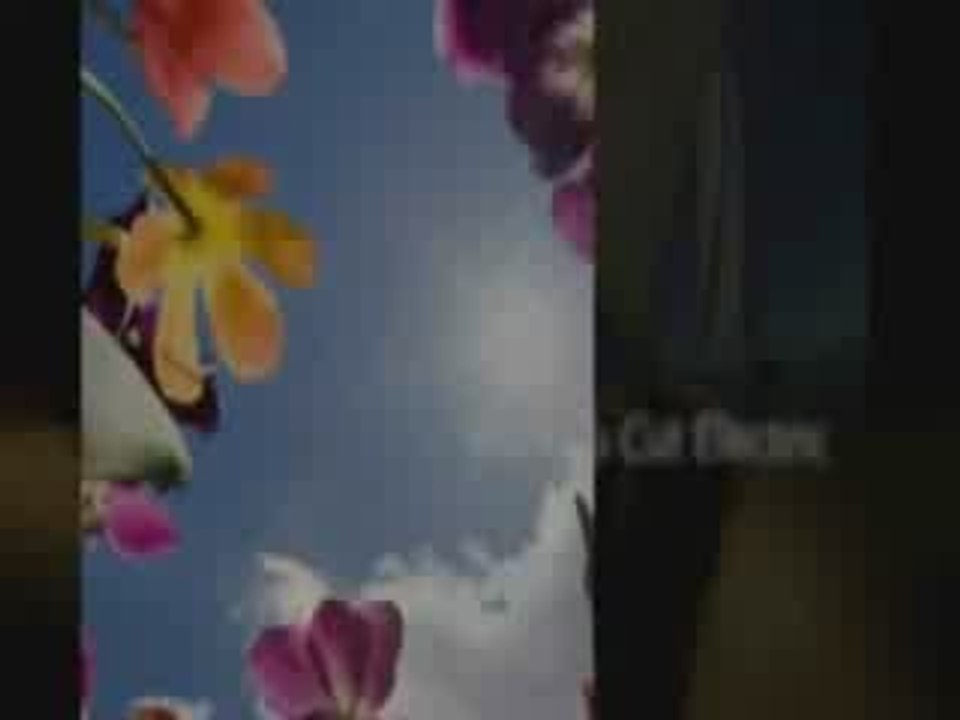 Build a Windmill