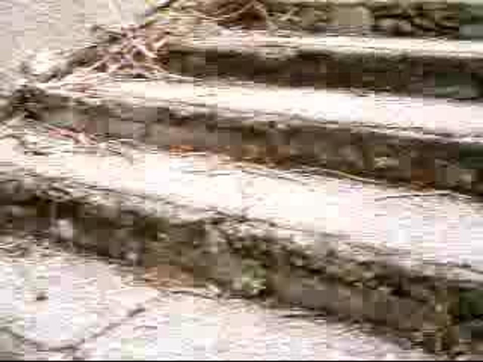 J'attends (Roland Marx / Gérard Delon)