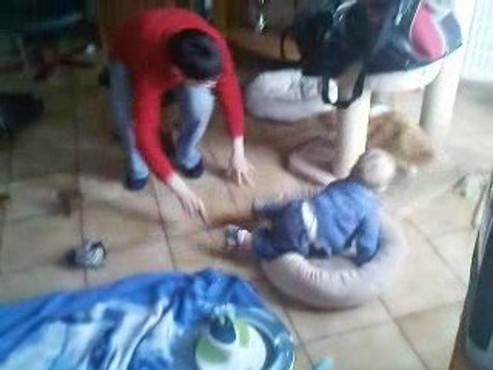 2 bébés qui jouent! Gabriel et Dancing Lord