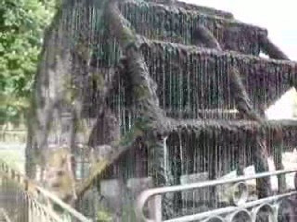 SDC11488