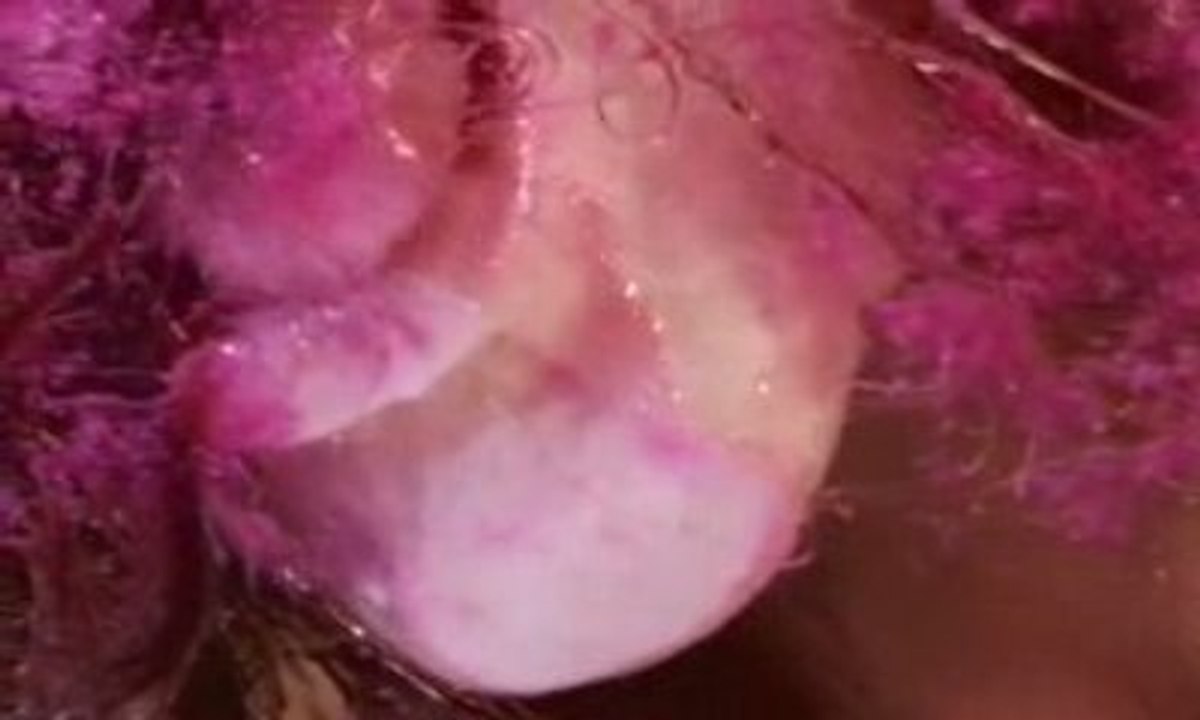 Marilyn Minter - Green Pink Caviar