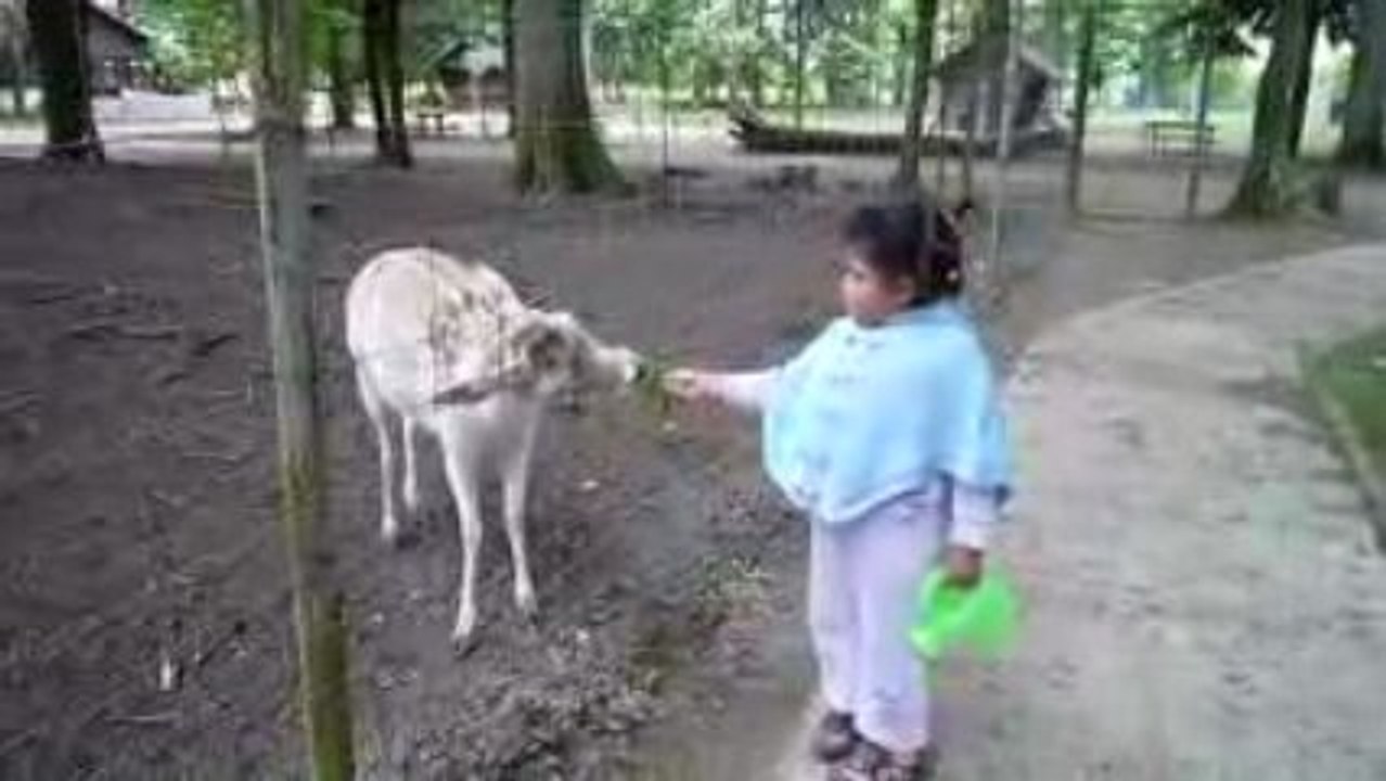 Maryam au zoo