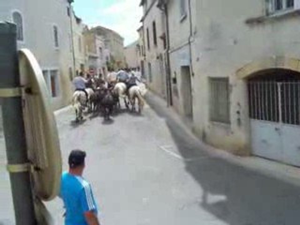 17.05 manade du levant 008