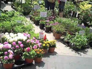 My LIfe Sucks (5/15/09 Day 1)