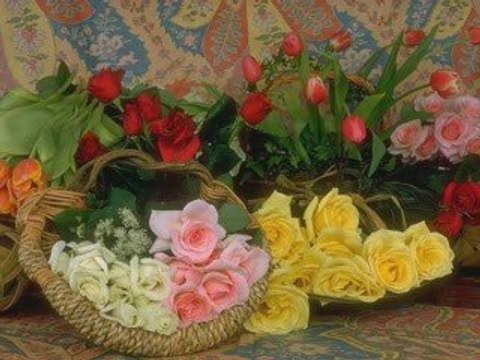 Gavs- ı Sani El Hüseyini. menzil