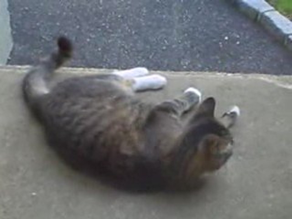 Paddy Paws and Mouse