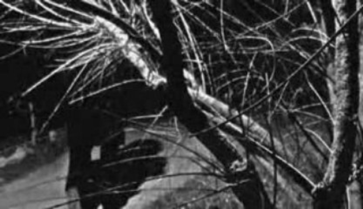 The Crow Project Inside of a heart