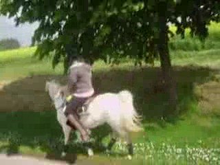 Ballade avec nos loulous