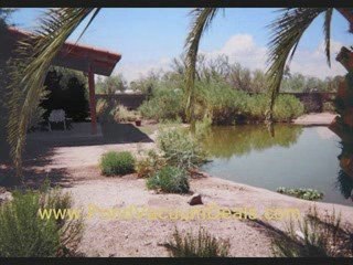 Best Ponds Vacuum