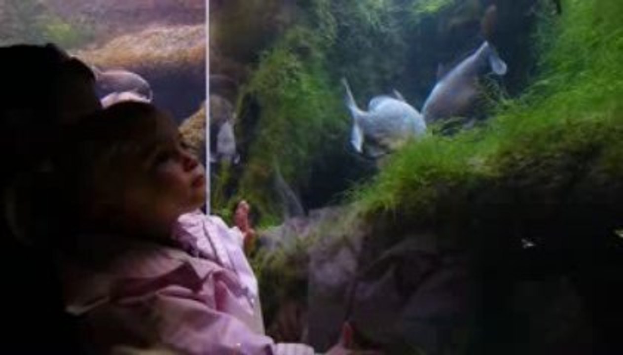 musee 2
