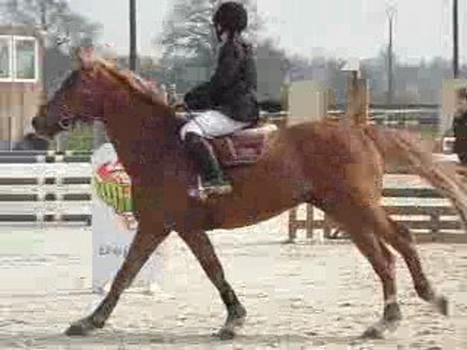 concour chamburcy merlin et moi