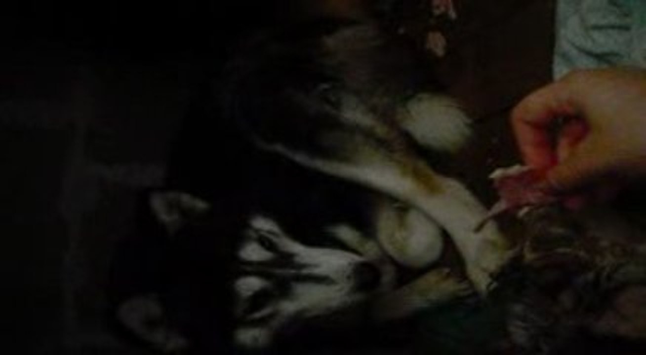 Winnie & Palou